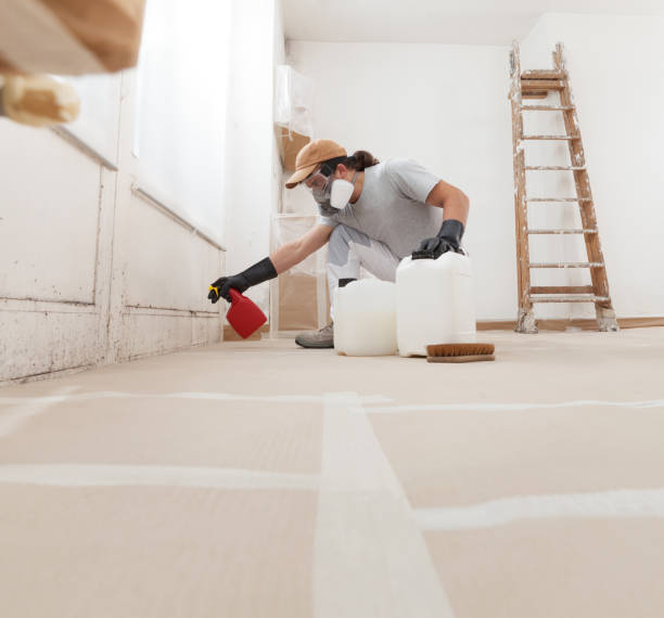 Best Mold Odor Removal Services  in Port St John, FL