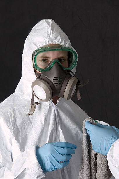 Best Environmental Consulting for Mold Prevention  in Port St John, FL